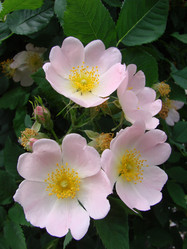 Similar image 109866