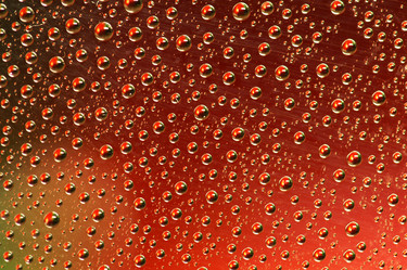 Similar image 109921