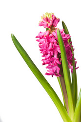 Similar image 109951