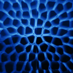 Similar image 109955