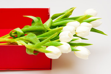 Similar image 110000