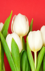 Similar image 110002