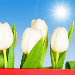 Similar image 110008