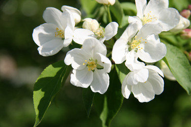 Similar image 110009