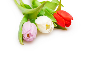 Similar image 110010