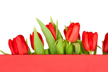 Similar image 110012