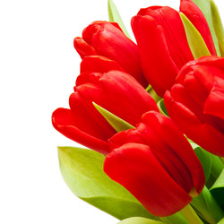 Similar image 110013