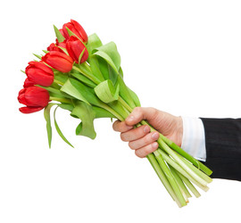 Similar image 110015