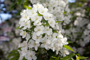 Similar image 110031