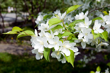 Similar image 110041