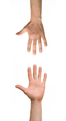 Similar image 110092