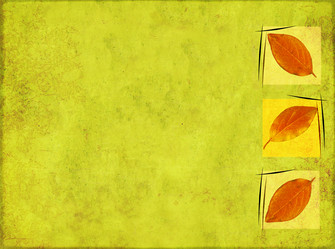 Similar image 110125