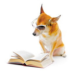 Similar image 110135