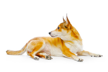 Similar image 110136