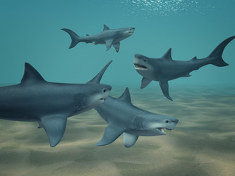 Similar image 110138