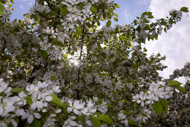 Similar image 110204