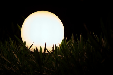 Similar image 110237