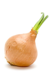 Similar image 110250