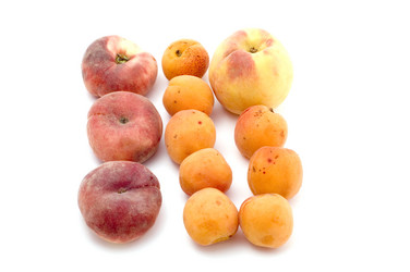 Similar image 110277