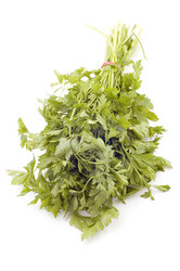 Similar image 110313