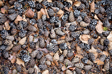 Similar image 110331