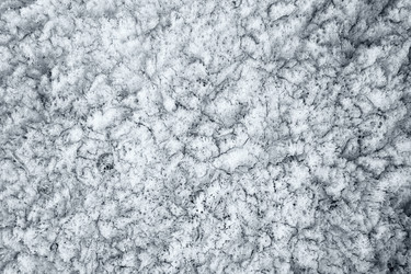 Similar image 110343