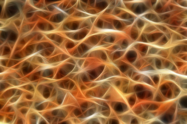 Similar image 110406