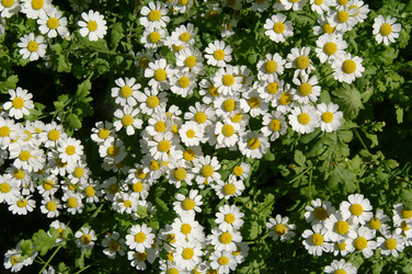 Similar image 110408