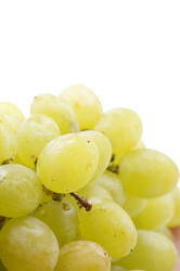 Similar image 110430