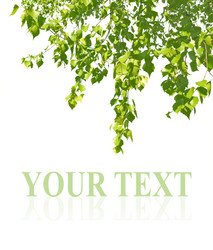 Similar image 110441