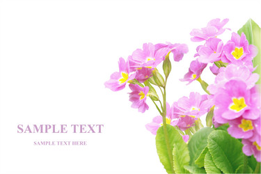 Similar image 110448