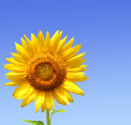 Similar image 110496