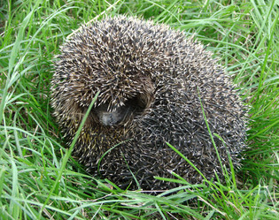 Similar image 110524