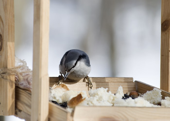 Similar image 110543