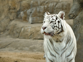 Similar image 110568