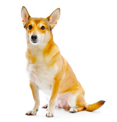 Similar image 110606