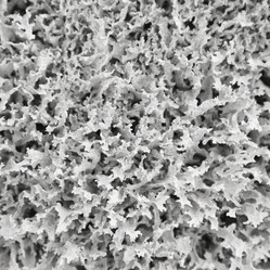 Similar image 110607