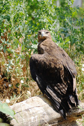 Similar image 110653