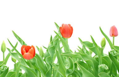 Similar image 110656