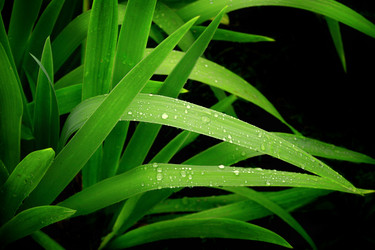 Similar image 110664