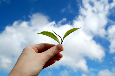 Similar image 110742