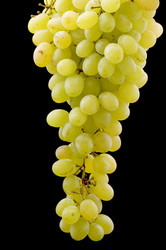 Similar image 110770