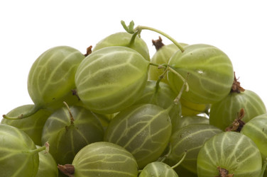 Similar image 110796