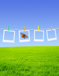 Similar image 110819