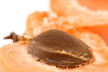 Similar image 110891