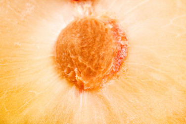 Similar image 110895