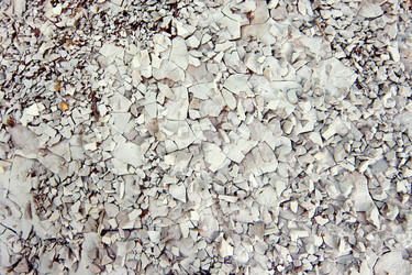 Similar image 110910