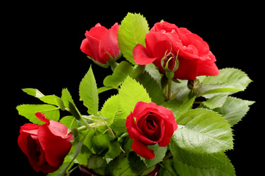 Similar image 110965