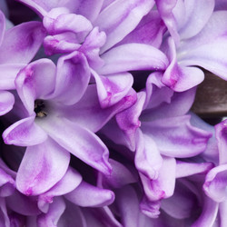 Similar image 110974