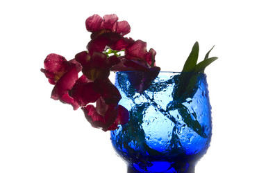 Similar image 110980